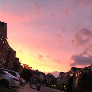 Meet your Posher, William